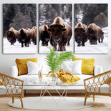 66871-MGV-CV-36X24-Bison Herd Wall Art – Wildlife Buffalo Canvas Print, Rustic Western Nature Photography Decor for Living Room, Office, Cabin, or