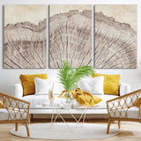 67528-MGV-CV-36X24-Wood Ring Wall Art Canvas Print, Framed Tree Ring Art Picture Print, Rustic Tree Ring Perfect Neutral Boho Decor Artwork