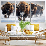 80512-MGV-CV-36X24-Bison Herd Wall Art – Buffalo Running in Snow Canvas Print, Rustic Wildlife Photography Decor for Cabin, Lodge, or Living Room