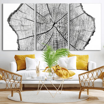 98709-MGV-CV-36X24-Tree Ring Wall Art – Black and White Canvas Print Rustic Wood Cross Section, Minimal Nature Inspired Decor for Living Room,