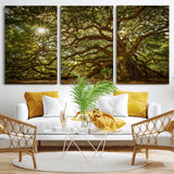 57983-MGV-CV-36X24-Angel Oak Tree Wall Art Canvas Print, Framed Oak Tree Art Picture Print, Angel Oak Perfect Rustic Nature Decor Artwork