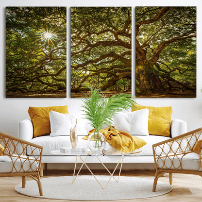 57983-MGV-CV-36X24-Angel Oak Tree Wall Art Canvas Print, Framed Oak Tree Art Picture Print, Angel Oak Perfect Rustic Nature Decor Artwork