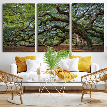 MGV-CV-60X30-3P - Historic Tree Wall Art Canvas Print, Framed Mossy Tree Art Picture Print, Twisted Branches Perfect Nature Southern Decor Artwork