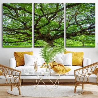 49375306-MGV-CV-36X24-Ancient Tree Wall Art Canvas Print, Framed Sprawling Branches Art Picture Print, Gnarling Tree Perfect Earthy Natural Decor