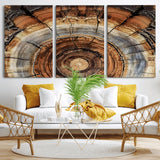 15184146-MGV-CV-36X24-Tree Rings Wall Art Canvas Print, Framed Wood Texture Art Picture Print, Rustic Pattern Perfect Rustic Organic Decor Artwork