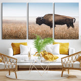 99620201-MGV-CV-36X24-Wild Bison Wall Art Canvas Print, Framed Bison in Prairie Art Picture Print, Rustic Western Perfect Rustic Western Decor Artwork