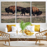 58141885-MGV-CV-36X24-Bison Photography Wall Art Canvas Print, Framed Western Wildlife Art Picture Print, Modern Ranch Perfect Western Rustic Decor