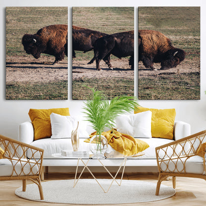 58141885-MGV-CV-36X24-Bison Photography Wall Art Canvas Print, Framed Western Wildlife Art Picture Print, Modern Ranch Perfect Western Rustic Decor