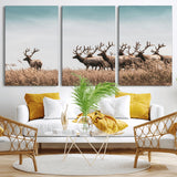 81594705-MGV-CV-36X24-Elk Herd Wall Art Canvas Print, Framed Wildlife Photography Art Picture Print, Rustic Nature Print Perfect Rustic Wildlife Decor