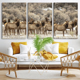 93076148-MGV-CV-36X24-Elk Herd Wall Art – Wildlife Canvas Print of Elk in Winter Landscape, Rustic Western Cabin & Lodge Décor, Nature Photography for