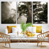 87969493-MGV-CV-36X24-Forest Wall Art – Misty Tall Trees Canvas Print, Dramatic Woodland Photography Decor for Bedroom, Living Room, Office, Cabin,
