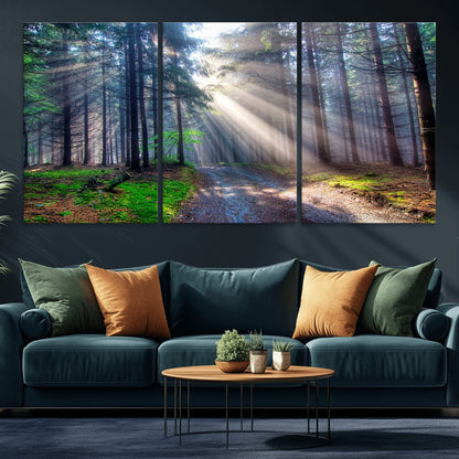 42047-MGV-CV-36X24-Sunlit Forest Path Wall Art – Nature Canvas Print, Serene Woodland Landscape, Perfect Home & Office Decor for Calm and Tranquil