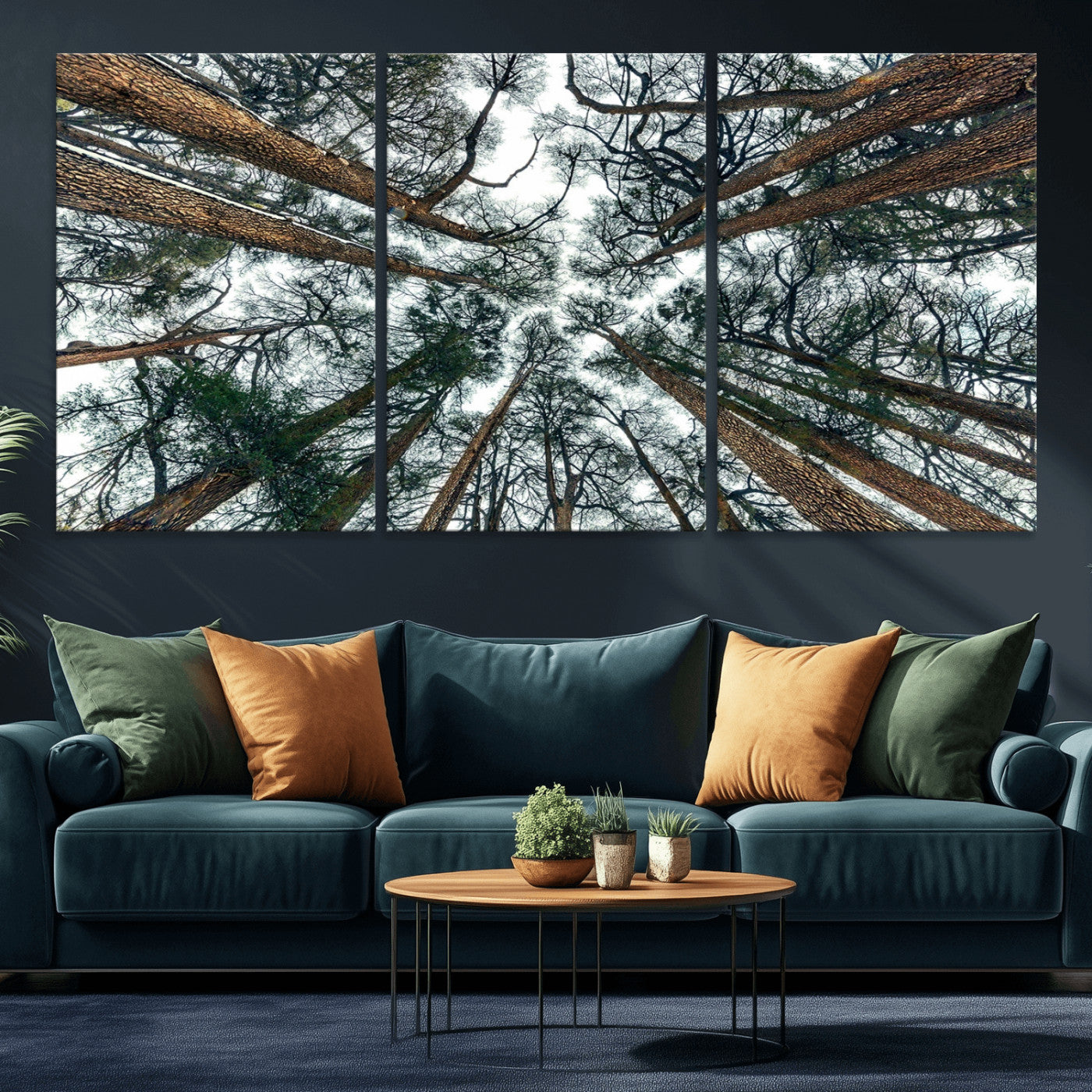 18790-MGV-CV-36X24-Pine Canopy Wall Art – Panoramic View of Towering Pines Canvas Print, Nature-Inspired Decor for Office, Cabin or Living Room
