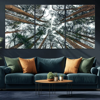 18790-MGV-CV-36X24-Pine Canopy Wall Art – Panoramic View of Towering Pines Canvas Print, Nature-Inspired Decor for Office, Cabin or Living Room
