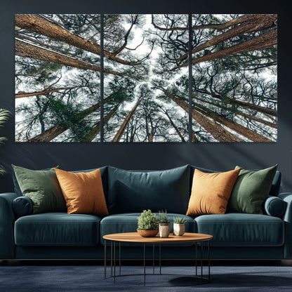18790-MGV-CV-36X24-Pine Canopy Wall Art – Panoramic View of Towering Pines Canvas Print, Nature-Inspired Decor for Office, Cabin or Living Room