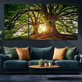 52150-MGV-CV-36X24-Majestic Tree Wall Art – Large Nature Canvas Print with Sunlight Through Branches, Rustic Forest Decor for Living Room, Bedroom or