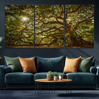 57983-MGV-CV-36X24-Angel Oak Tree Wall Art Canvas Print, Framed Oak Tree Art Picture Print, Angel Oak Perfect Rustic Nature Decor Artwork