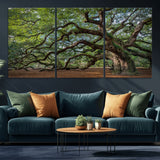MGV-CV-60X30-3P - Historic Tree Wall Art Canvas Print, Framed Mossy Tree Art Picture Print, Twisted Branches Perfect Nature Southern Decor Artwork