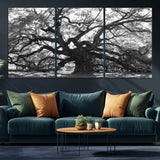 81655611-MGV-CV-36X24-Ancient Oak Wall Art Canvas Print, Framed Twisted Branches Art Picture Print, Gnarled Tree Perfect Moody Nature Decor Artwork