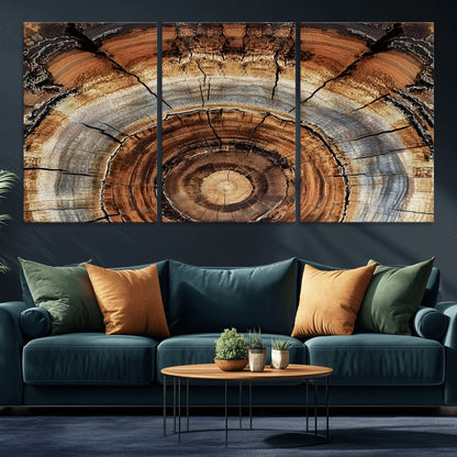 15184146-MGV-CV-36X24-Tree Rings Wall Art Canvas Print, Framed Wood Texture Art Picture Print, Rustic Pattern Perfect Rustic Organic Decor Artwork