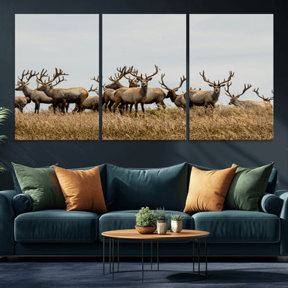 42170220-MGV-CV-36X24-Elk Herd Wall Art Canvas Print, Framed Wildlife Photography Art Picture Print, Majestic Antlers Perfect Rustic Wildlife Decor