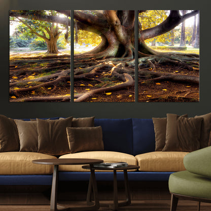 53335-MGV-CV-36X24-Majestic Tree with Sprawling Roots Wall Art – Serene Sunlit Park Scene, Nature Canvas Print, Perfect for Living Room, Office or
