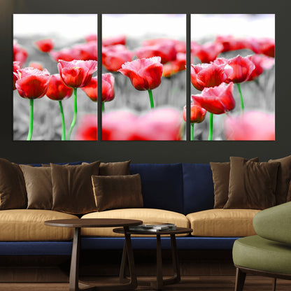 44554-MGV-CV-36X24-Vibrant red tulips stand out beautifully against a black-and-white background, making a striking decor piece perfect for any home