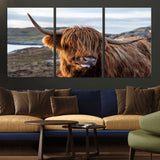 71222-MGV-CV-36X24-A playful Highland cow with shaggy fur sticks out its tongue, set against a rugged landscape — perfect for quirky home or office