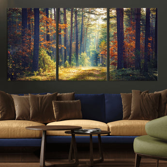 86249-MGV-CV-36X24-Sunlit Autumn Forest Path Wall Art – Peaceful Nature Scene with Fall Foliage, Calming Woods Decor for Home or Office