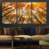 11823-MGV-CV-36X24-Golden Autumn Tree Canopy Wall Art – Stunning Fall Forest Leaves Print, Warm Seasonal Nature Decor for Home, Office or Cabin
