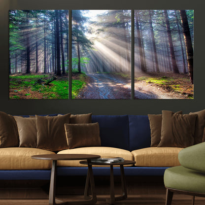 42047-MGV-CV-36X24-Sunlit Forest Path Wall Art – Nature Canvas Print, Serene Woodland Landscape, Perfect Home & Office Decor for Calm and Tranquil
