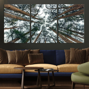 18790-MGV-CV-36X24-Pine Canopy Wall Art – Panoramic View of Towering Pines Canvas Print, Nature-Inspired Decor for Office, Cabin or Living Room