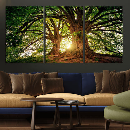 52150-MGV-CV-36X24-Majestic Tree Wall Art – Large Nature Canvas Print with Sunlight Through Branches, Rustic Forest Decor for Living Room, Bedroom or