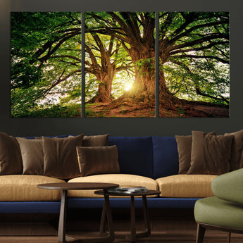 52150-MGV-CV-36X24-Majestic Tree Wall Art – Large Nature Canvas Print with Sunlight Through Branches, Rustic Forest Decor for Living Room, Bedroom or