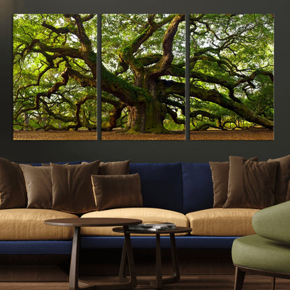 29407-MGV-CV-36X24-Ancient Oak Tree Wall Art – Majestic Nature Canvas Print, Large Tree Photography Decor for Living Room or Office