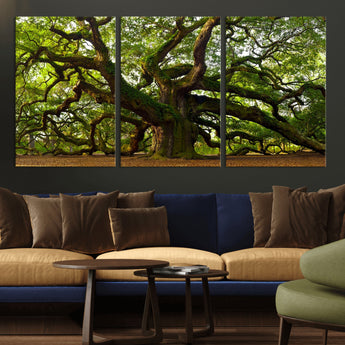 29407-MGV-CV-36X24-Ancient Oak Tree Wall Art – Majestic Nature Canvas Print, Large Tree Photography Decor for Living Room