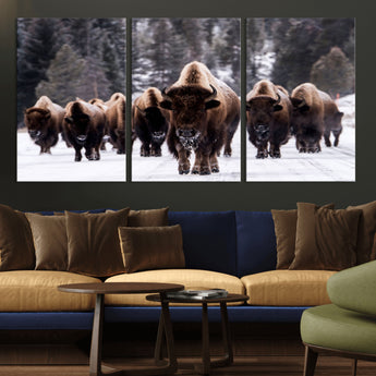 66871-MGV-CV-36X24-Bison Herd Wall Art – Wildlife Buffalo Canvas Print, Rustic Western Nature Photography Decor for Living Room, Office, Cabin, or
