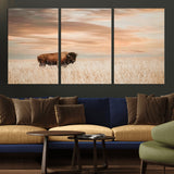 99699-MGV-CV-36X24-Bison in Prairie at Sunset – Wildlife Photography Print, American Buffalo Wall Art, Nature Landscape Canvas Decor for Office