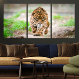 75066-MGV-CV-36X24-Leopard Wall Art Canvas Print, Framed Wild Animal Art Picture Print, Blue Eye Leopard Perfect Wild Minimal Decor Artwork