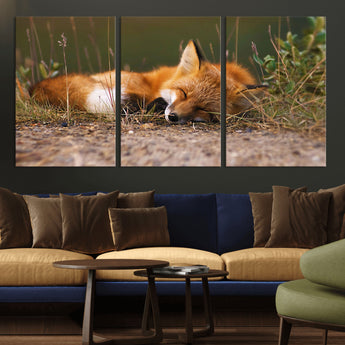 25085-MGV-CV-36X24-Sleeping Fox Wall Art Canvas Print, Framed Rustic Fox Art Picture Print, Wildlife Animal Perfect Rustic Farmhouse Decor Artwork