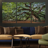 MGV-CV-60X30-3P - Historic Tree Wall Art Canvas Print, Framed Mossy Tree Art Picture Print, Twisted Branches Perfect Nature Southern Decor Artwork