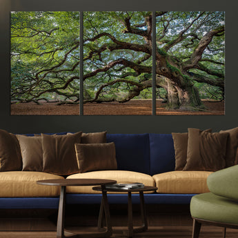 MGV-CV-60X30-3P - Historic Tree Wall Art Canvas Print, Framed Mossy Tree Art Picture Print, Twisted Branches Perfect Nature Southern Decor Artwork