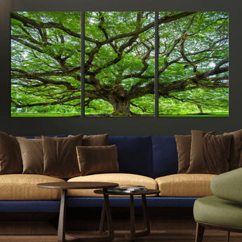 49375306-MGV-CV-36X24-Ancient Tree Wall Art Canvas Print, Framed Sprawling Branches Art Picture Print, Gnarling Tree Perfect Earthy Natural Decor