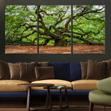 51255351-MGV-CV-36X24-Ancient Tree Wall Art – Majestic Oak Canvas Print, Large Nature Photography, Sacred Forest Landscape Wall Décor, Wisdom Tree