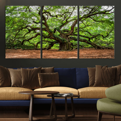 51255351-MGV-CV-36X24-Ancient Tree Wall Art – Majestic Oak Canvas Print, Large Nature Photography, Sacred Forest Landscape Wall Décor, Wisdom Tree