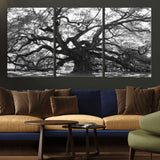 81655611-MGV-CV-36X24-Ancient Oak Wall Art Canvas Print, Framed Twisted Branches Art Picture Print, Gnarled Tree Perfect Moody Nature Decor Artwork