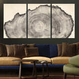 98921313-MGV-CV-36X24-Tree Ring Wall Art Canvas Print, Framed Wood Slice Art Picture Print, Minimalist Wood Perfect Rustic Academic Decor Artwork
