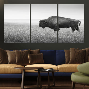 28435251-MGV-CV-36X24-Bison In Prairie Wall Art Canvas Print, Framed Rustic Wildlife Art Picture Print, Wild Buffalo Perfect Rustic Western Decor