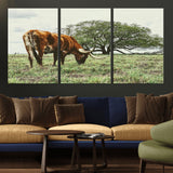 91866234-MGV-CV-36X24-Texas Longhorn Wall Art Canvas Print, Framed Rustic Ranch Art Picture Print, Western Cattle Perfect Rustic Farmhouse Decor Artwork