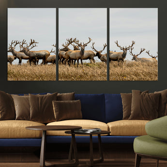 42170220-MGV-CV-36X24-Elk Herd Wall Art Canvas Print, Framed Wildlife Photography Art Picture Print, Majestic Antlers Perfect Rustic Wildlife Decor